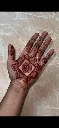 IMG_3595 (1).webp