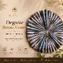 Organic Henna Cones.webp